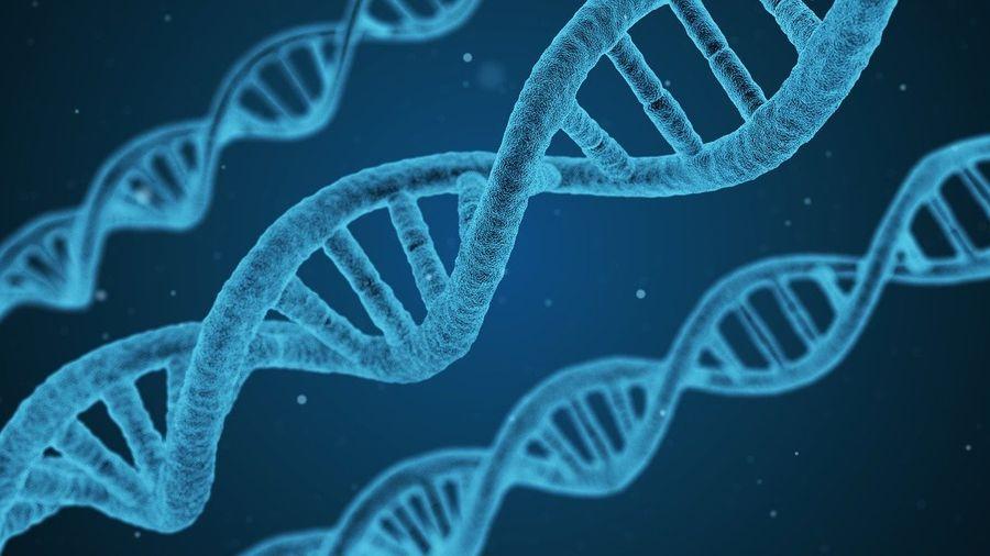 Вчені розробили новий ДНК-тест, який дозволить виявляти 50 видів раку на ранній стадії
