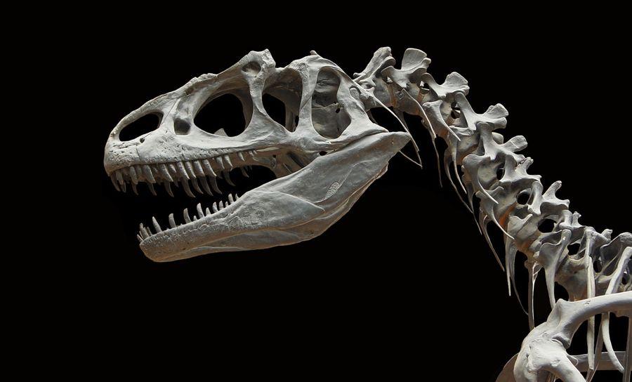 Вчені з’ясували, що саме стало причиною вимирання динозаврів